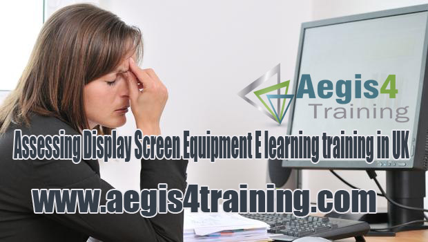 Assessing Display Screen Equipment E learning training in UK