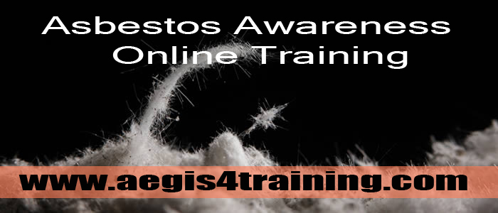 Asbestos awareness online training